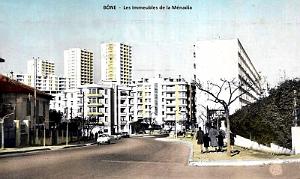 BONE - MENADIA - IMMEUBLES